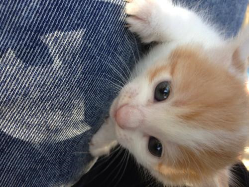 上海室內(nèi)空氣質(zhì)量檢測(cè)中心-上海CMA檢測(cè)報(bào)告