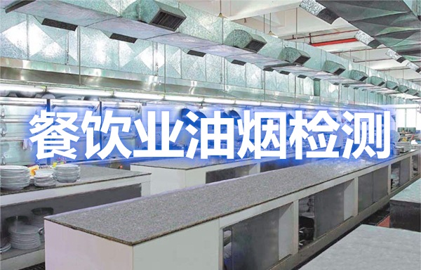 上海聚星環境檢測有限公司