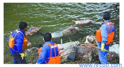 上海室內空氣質量檢測中心-上海CMA檢測報告